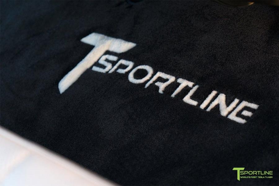 Логотип Tesla Model S P100D by T Sportline 2017 года  (фото 17 из 45)